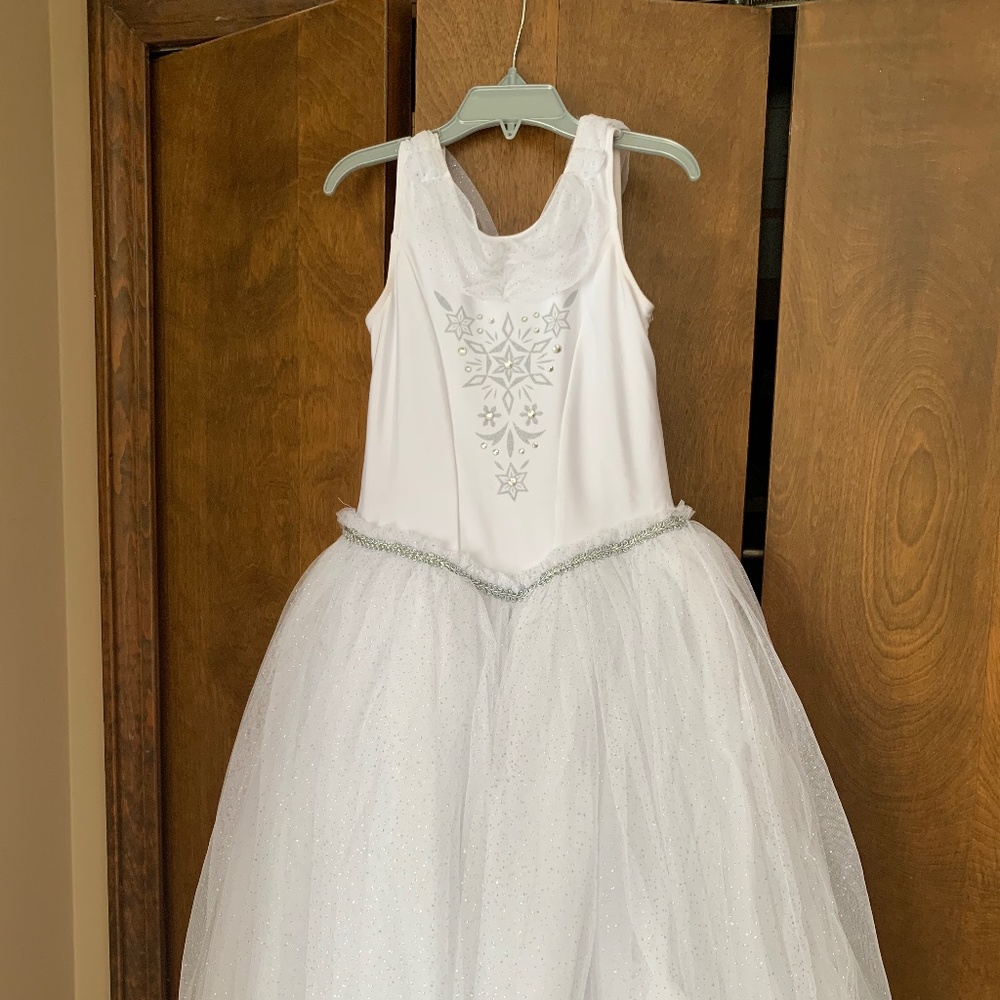 Girls Disney winter princess dress